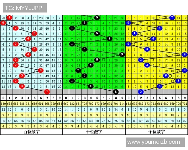 篮网与猛龙对决分析大小分走势及投注建议全解析