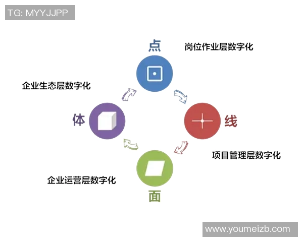 上海篮球队的控制革新探索与发展路径分析